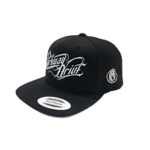 Load image into Gallery viewer, Parkway Drive - Logo Snapback Hat